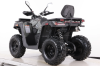 Бензиновый квадроцикл MOTAX GRIZLIK T250 BASIC коричневый