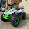 Электроквадроцикл ECO Lizard 48V32AH
