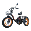 Трехколесный электровелосипед фэтбайк Kugoo Trike