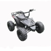 Электроквадроцикл Skyboard CyberTruck Karelia 1800W
