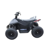 Электроквадроцикл Skyboard CyberTruck Sochi Kids 800W (цепной привод)